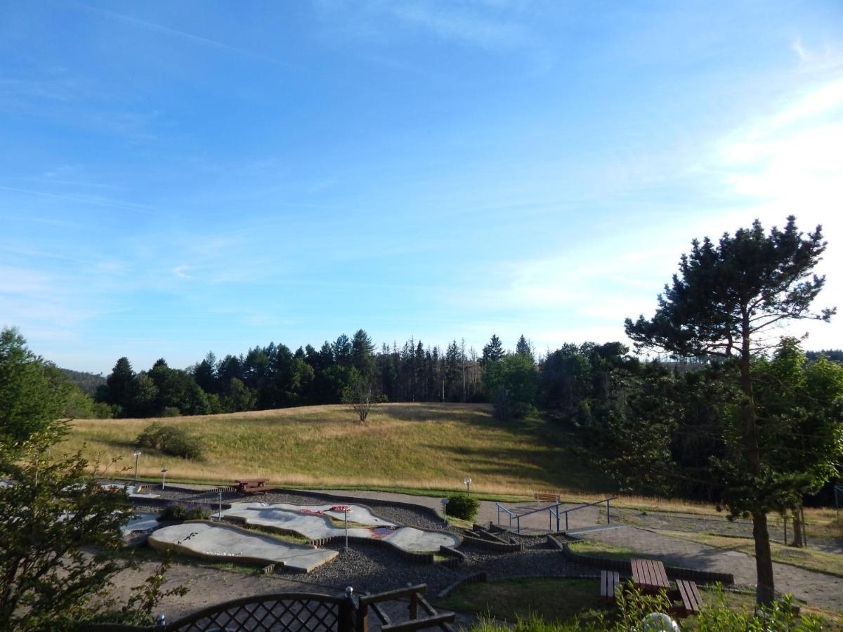 Ferienwohnung "Rodelnde Geiss" Mit Schwimmbad Braunlage Bagian luar foto