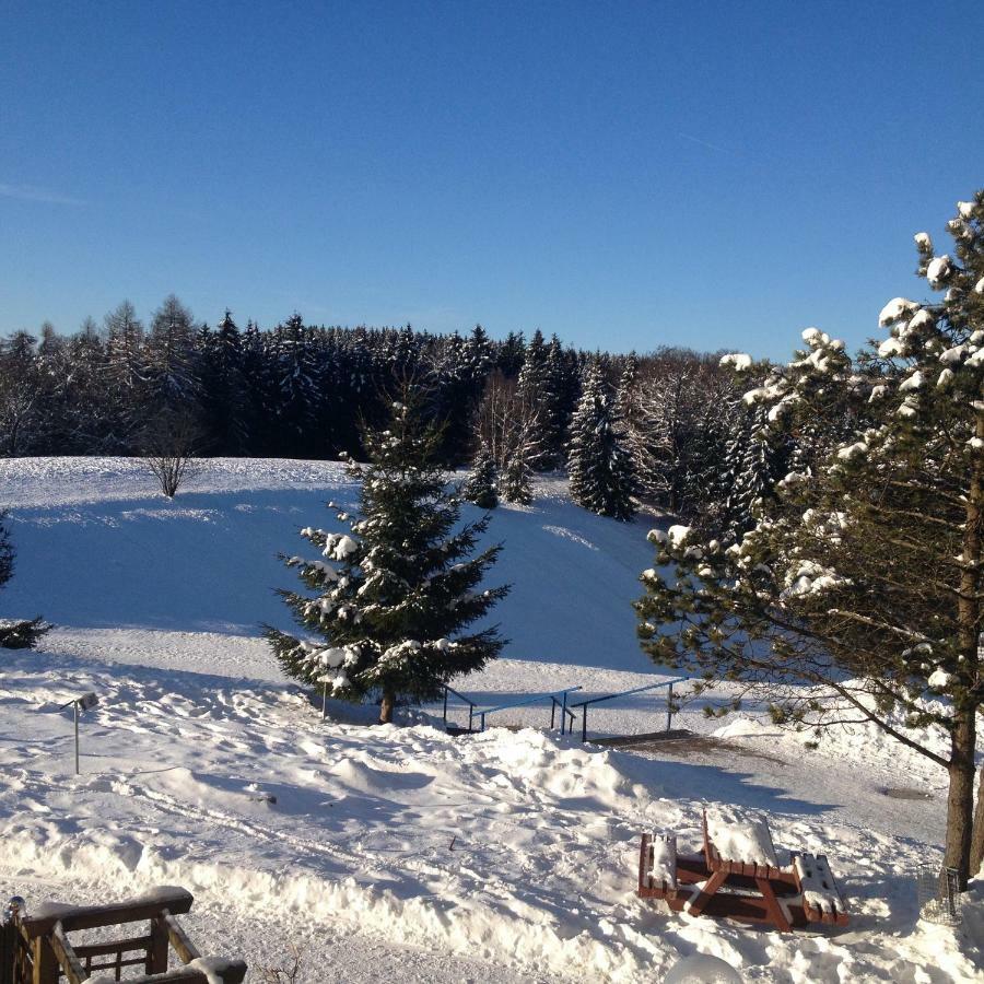Ferienwohnung "Rodelnde Geiss" Mit Schwimmbad Braunlage Bagian luar foto