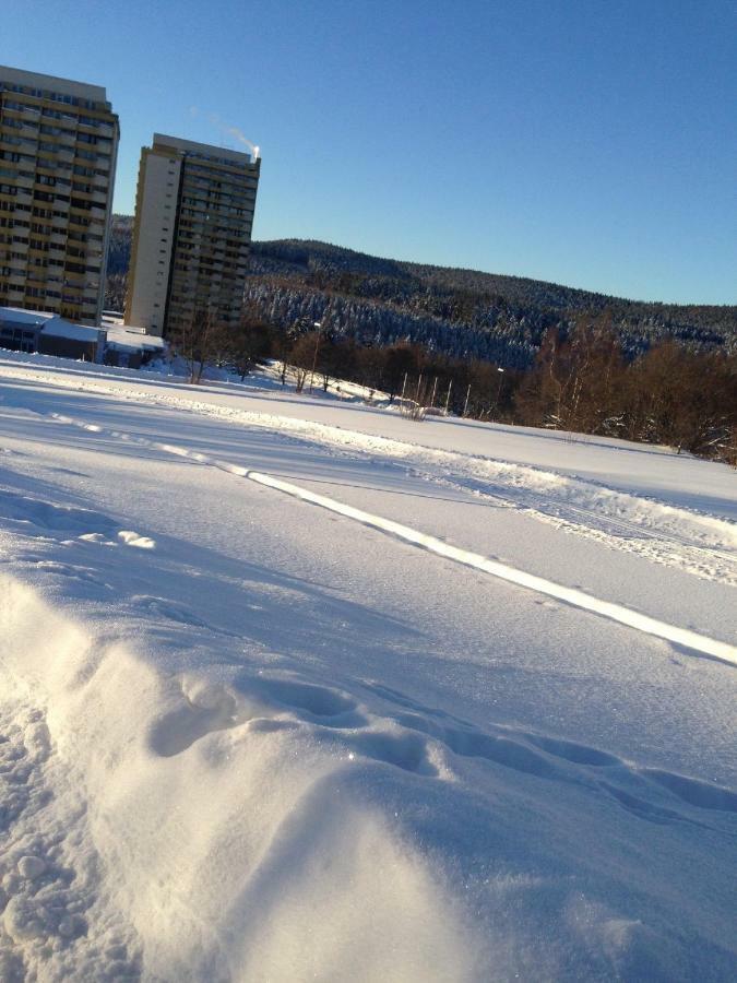 Ferienwohnung "Rodelnde Geiss" Mit Schwimmbad Braunlage Bagian luar foto