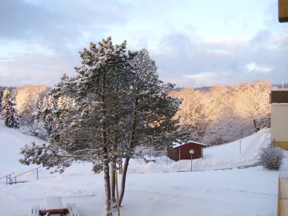 Ferienwohnung "Rodelnde Geiss" Mit Schwimmbad Braunlage Bagian luar foto