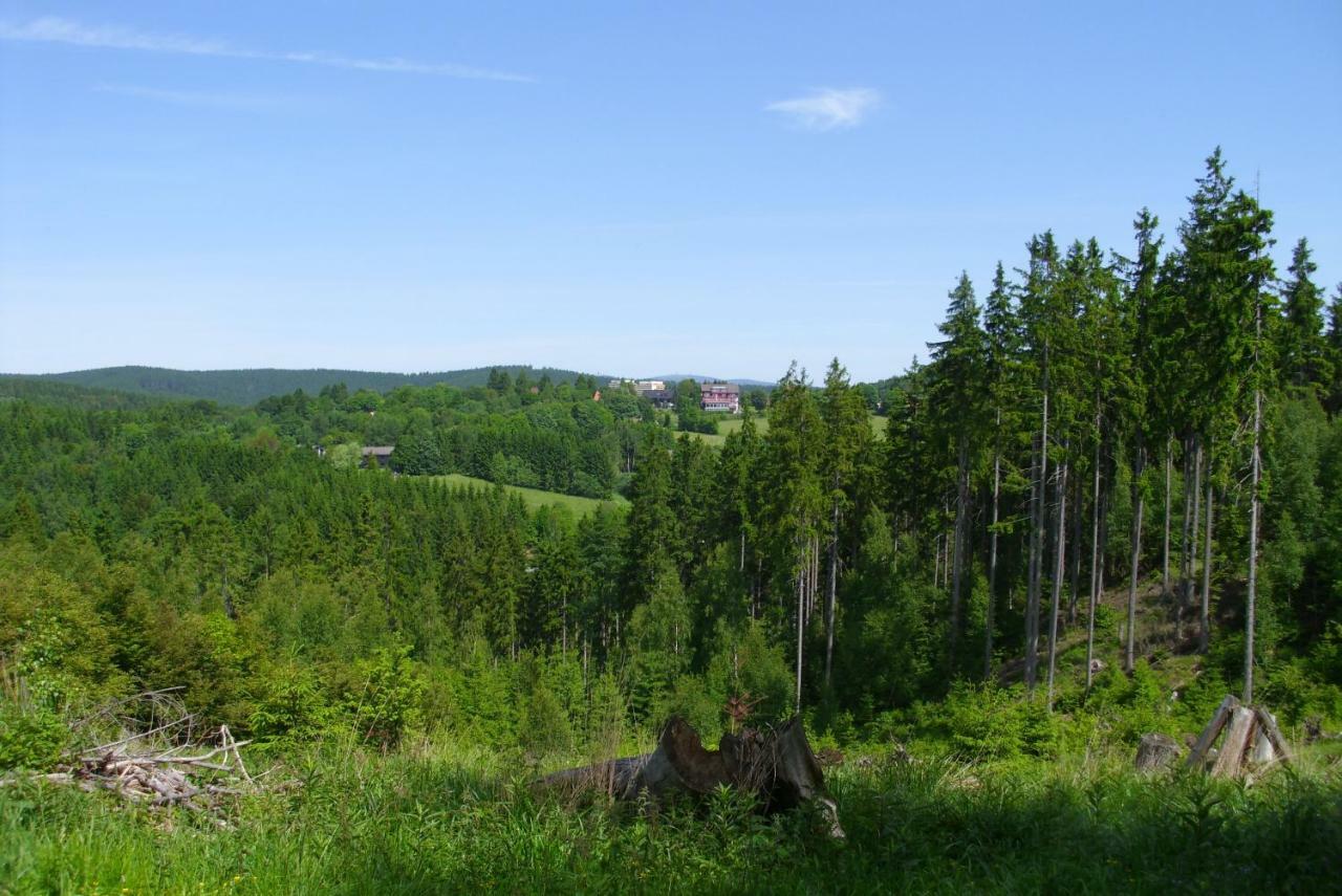 Ferienwohnung "Rodelnde Geiss" Mit Schwimmbad Braunlage Bagian luar foto